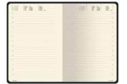 Ежедневник Soft