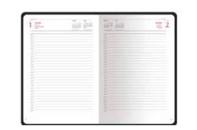 Ежедневник, планинг, визитница Sidney Nebraska  Ежедневник, планинг, визитница Sidney Nebraska