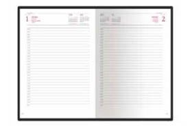 Ежедневник Ideal new Ежедневник Ideal new