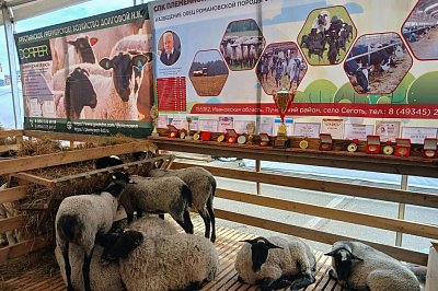 Оформление стенда выставочного