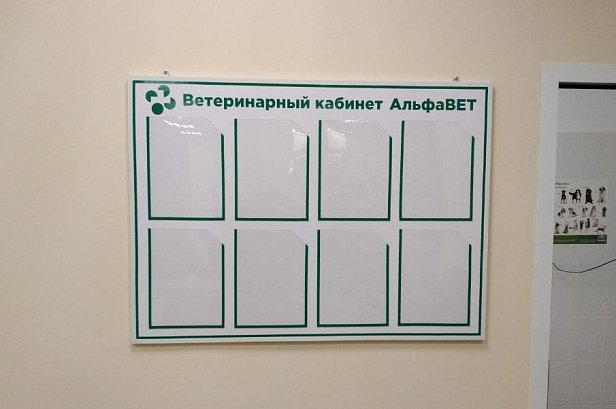 Информационные стенды для ветаптеки и ветклиники - реализованные проекты рекламного агентства "Отличная Идея" Информационные стенды для ветаптеки и ветклиники - реализованные проекты рекламного агентства "Отличная Идея"