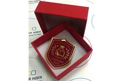 Значок залитый смолой для гимназии №30