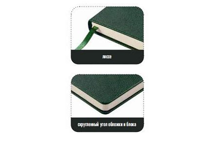 Ежедневник Loft Ежедневник Loft