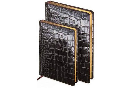 Ежедневник Caiman