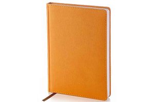 Ежедневник Leader