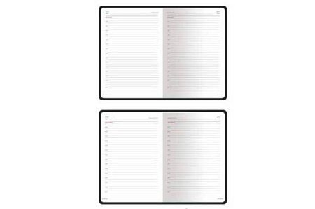 Ежедневник Caiman